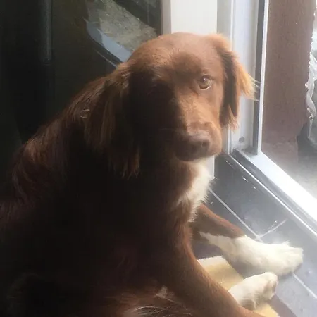 Bru Na Pairc לינה וארוחת בוקר