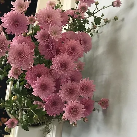 Bru Na Pairc לינה וארוחת בוקר 3*