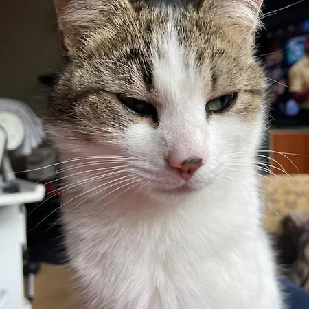 לינה וארוחת בוקר Bru Na Pairc 3*