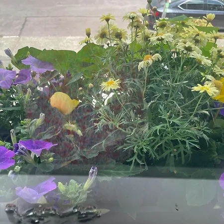 לינה וארוחת בוקר Bru Na Pairc 3*