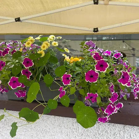 Bru Na Pairc לינה וארוחת בוקר