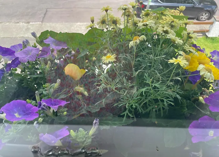 לינה וארוחת בוקר Bru Na Pairc 3*