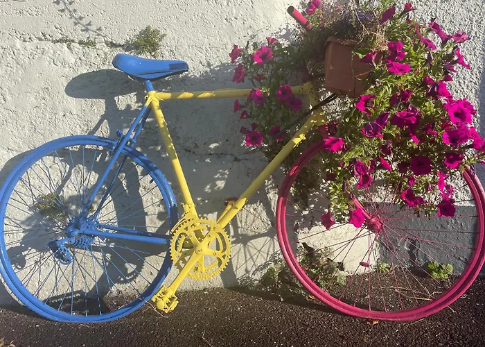 לינה וארוחת בוקר Bru Na Pairc